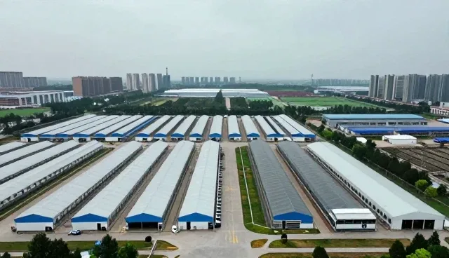 提升生产效率：批量生产在复杂场景下的应用分析